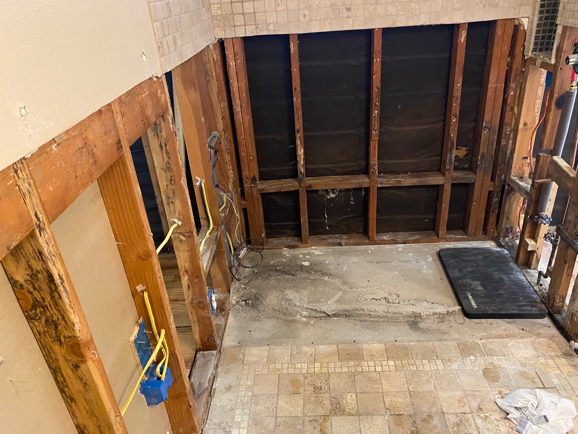 Bathroom gutted to studs and subfloor during remediation